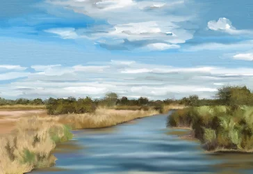 Paisaje fluvial tranquilo