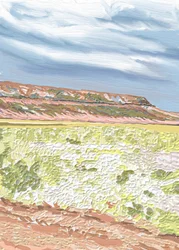 La extensa meseta del desierto