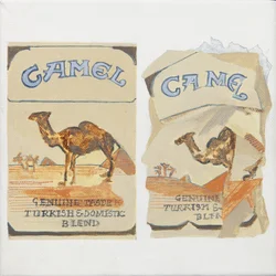 Cajetillas de cigarrillos Camel