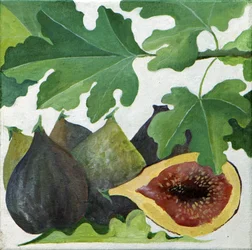 Higos, 2013 (acrílico sobre lienzo)