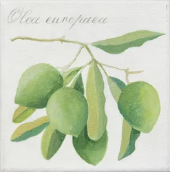 Aceitunas verdes (acrílico)