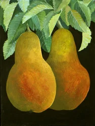 Peras, 2014 (acrílico sobre lienzo)