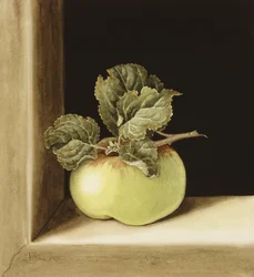 Manzana
