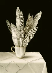 Taza de plumas