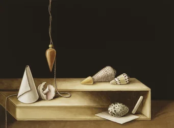 Ilusión óptica, 2005
