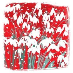Campanillas de invierno