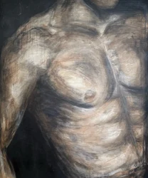 Muscular Male Torso