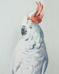 Cockadoo blanco