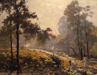 Mujeres recogiendo flores amarillas en un paisaje boscoso