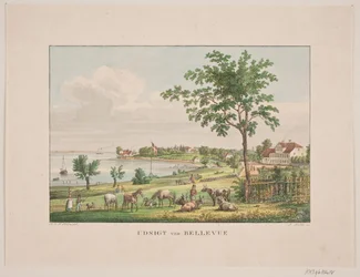 Vista en Bellevue