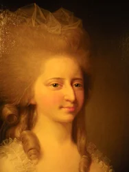 Luisa Augusta de Dinamarca
