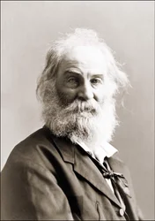Retrato de Walt Whitman (1819 - 1892) por Gurney entre 1880 y 1890