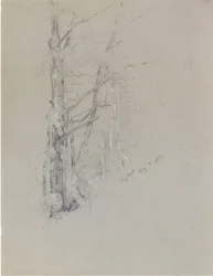 Arroyo seco, 1888