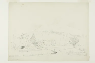 Niebla en las montañas
