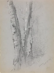 Estudio de troncos de abedul, 1869