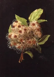Septiembre (de una serie de doce)