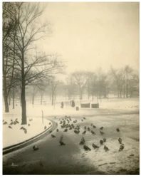 Boston Common, Boston, EE.UU., c.1902-10