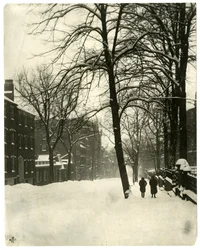 Calle Mt Vernon, Boston