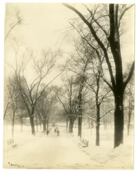 El Common, Boston, EE.UU., c.1902-10