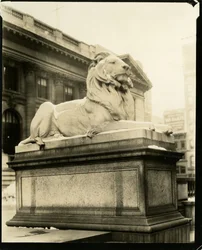 El león altivo frente a la Biblioteca Entiende a Gertrude Steinish, Nueva York, EE.UU., c.1905-40