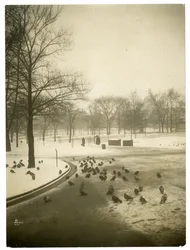 Inusualmente frío en el Common, Boston, EE.UU., c.1902-10