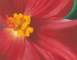 Flor de un rojo intenso