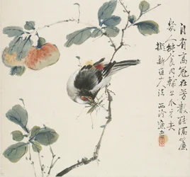 Un Hwamei chino comiendo un saltamontes, 1857