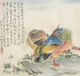 Un par de patos mandarines