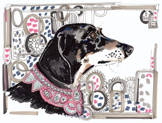 Lacey, el perro salchicha, 2013