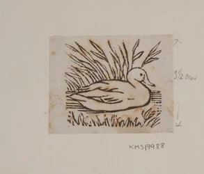 Un pato
