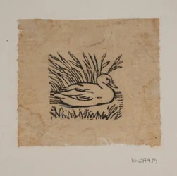 Un pato