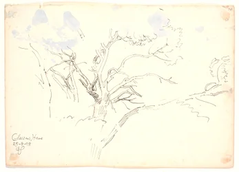 Estudios de ramas. Jardín de Classen