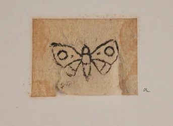 Insecto