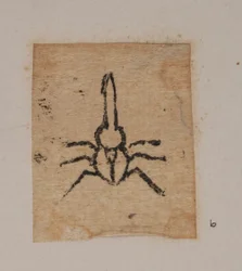 Insecto