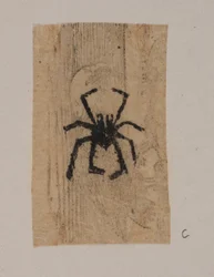 Insecto