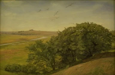 Paisaje con árboles en una pendiente