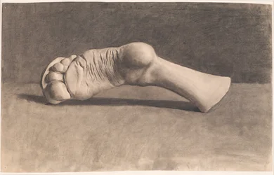 Dibujo de un pie en yeso