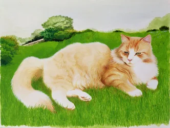Gato jengibre en el campo