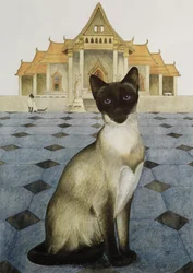 Siamés