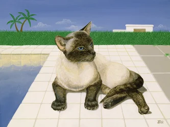 Gato siamés junto a una piscina