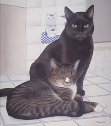 Stray y Daisie en la cocina