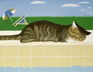 Gato atigrado junto a una piscina