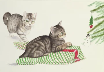 Dos gatitos