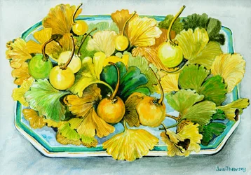 Ginkgo, fruto y hojas