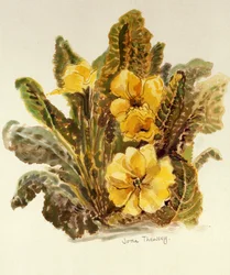 Primavera, 2010