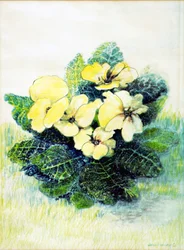 Primavera amarillo pálido, 2005