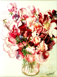 Guisantes de olor, 2005