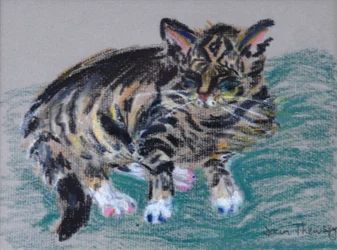 Gato atigrado, 2005