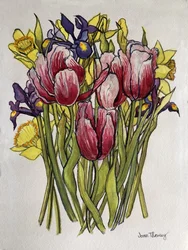 Tulipanes, Narcisos e Iris