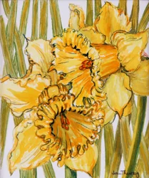 Dos narcisos, 2001